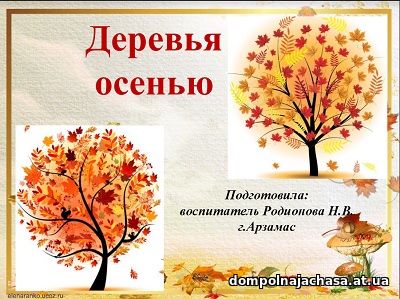 презентация Деревья осень