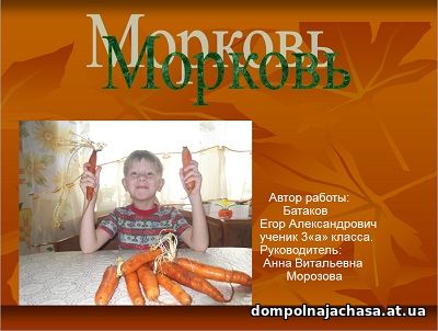 презентация Морковь