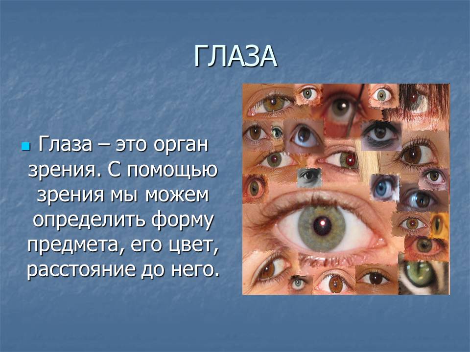 Видит глаза как пишется. Органы чувств глаза. Орган зрения презентация. Доклад на тему глаз. Презентация на тему глаза человека.